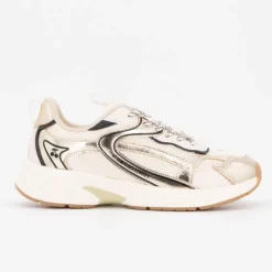 Hot Baskets basses gold toile avec lacets à motifs Femme Femme Baskets, Sneakers