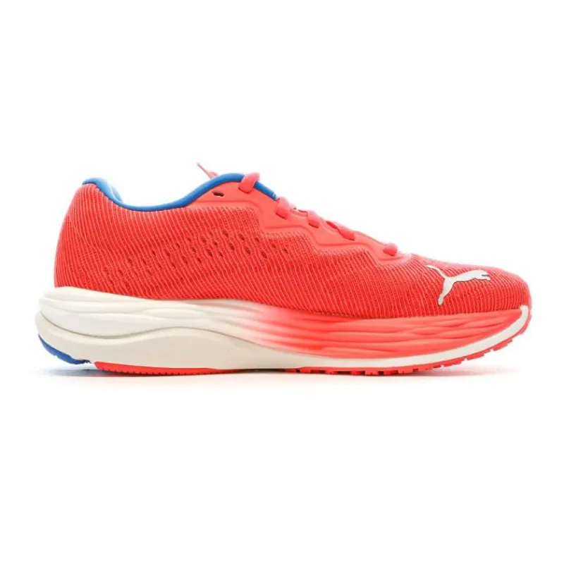 Best Baskets running velocity nitro 2 Femme Femme Baskets, Sneakers|Vetements De Sports Femme