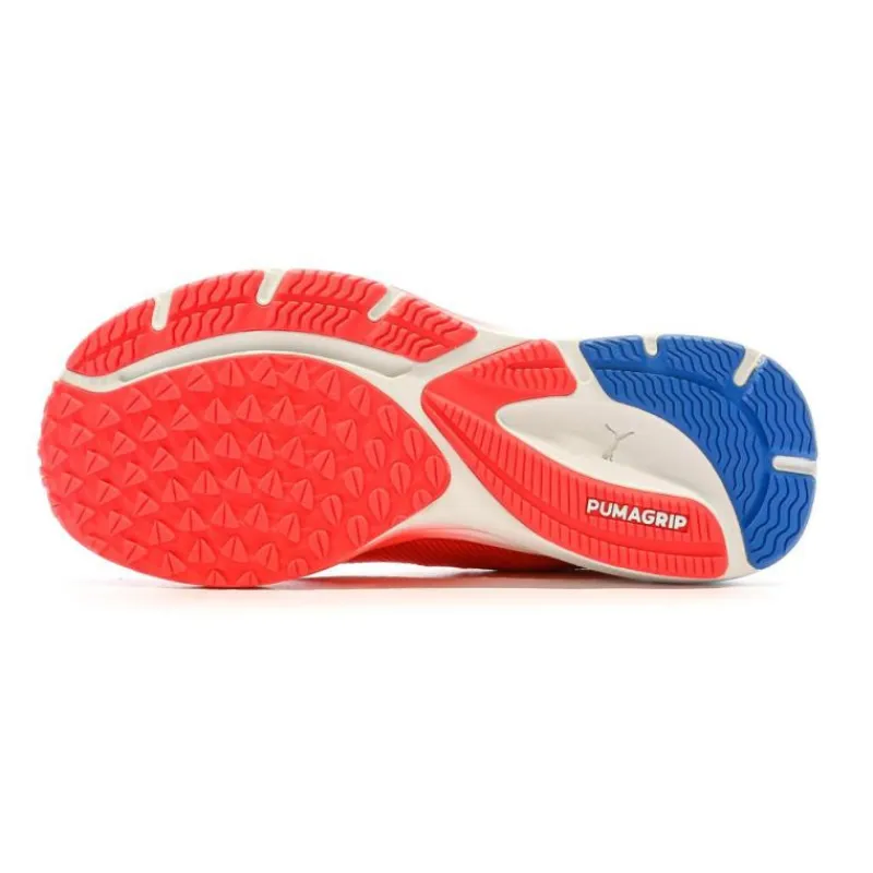 Best Baskets running velocity nitro 2 Femme Femme Baskets, Sneakers|Vetements De Sports Femme