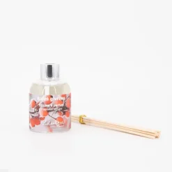 Sale Batons a parfum baies givrees 100 ml bgibt10 Mixte Décoration