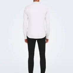 New Chemise classique robin coton slim fit Homme Homme Chemise