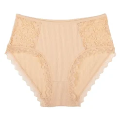 Sale Culotte lingerie dentelle dalinda Femme Femme Lingerie