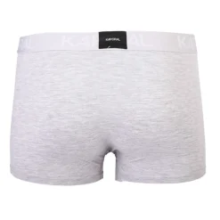 Lot de 2 boxers premium collection Ceylian Homme Homme Boxer, Caleçon