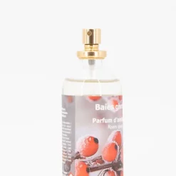 Outlet Parfum d'ambiance baies givrees 100 ml bgipa10 Mixte Décoration