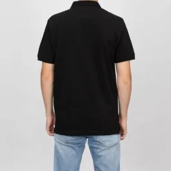 Polo coton basique regular avec logo brodé Homme Homme Polo