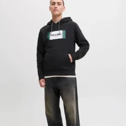 Online Sweat à capuche regular hayato imprimé encart logo Homme Homme Pull, Gilet, Sweat