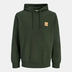 Clearance Sweat à capuche sky captain brandy regular fit Homme Homme Pull, Gilet, Sweat