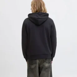 Discount Sweat à capuche sky captain brandy regular fit Homme Homme Pull, Gilet, Sweat