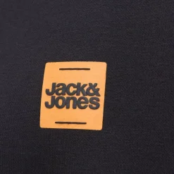 Discount Sweat à capuche sky captain brandy regular fit Homme Homme Pull, Gilet, Sweat