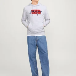 Online Sweat gris chiné imprimé avec capuche tiley coton mélangé regular Homme Homme Pull, Gilet, Sweat