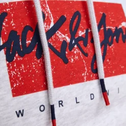 Online Sweat gris chiné imprimé avec capuche tiley coton mélangé regular Homme Homme Pull, Gilet, Sweat