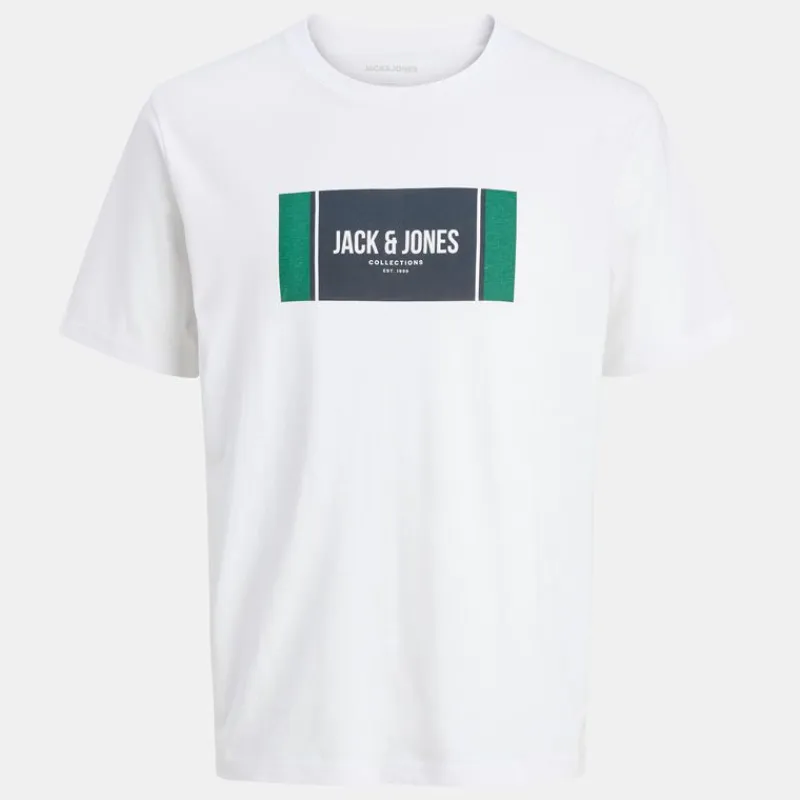 Tee shirt hayato coton manches courtes regular fit Homme Homme Tee Shirt