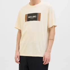 Tee shirt hayato coton manches courtes regular fit Homme Homme Tee Shirt