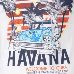 Online Tee shirt manches courtes imprime coton doux Cuba molly assor 24 Homme Homme Tee Shirt